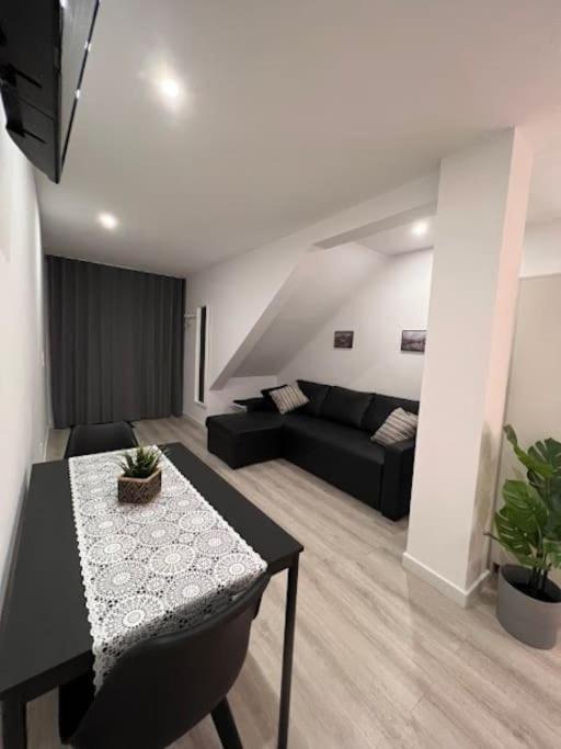 Opo - Fantastic Studio With Garden OOporto Extérieur photo